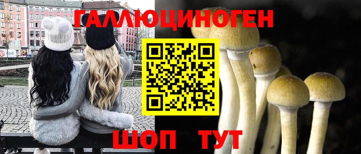 Галлюциногенные грибы мухоморы  Вход с VPN  Курган 