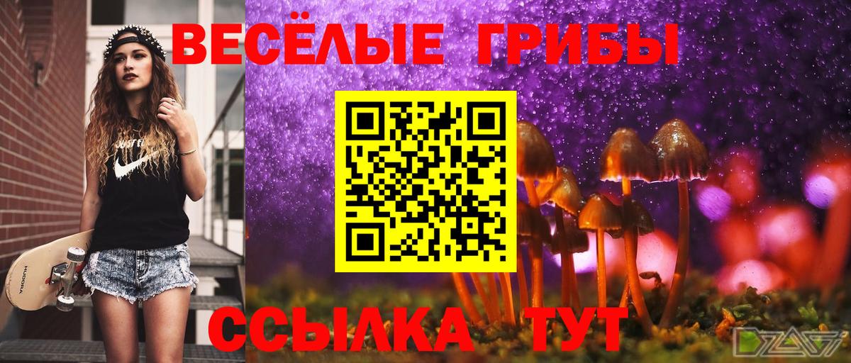 Галлюциногенные грибы мицелий Курган