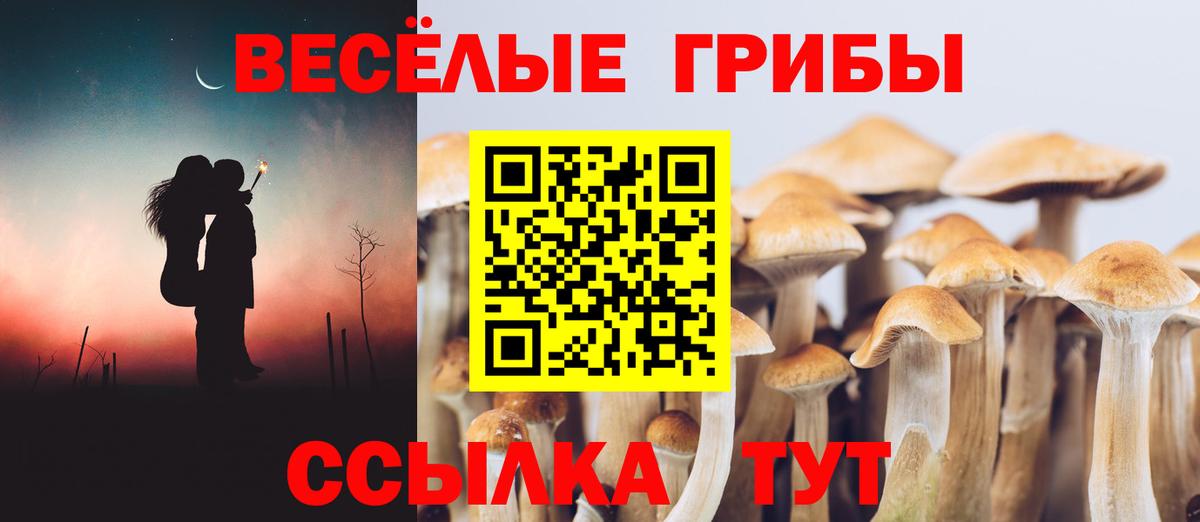 Псилоцибиновые грибы MAGIC MUSHROOMS Курган