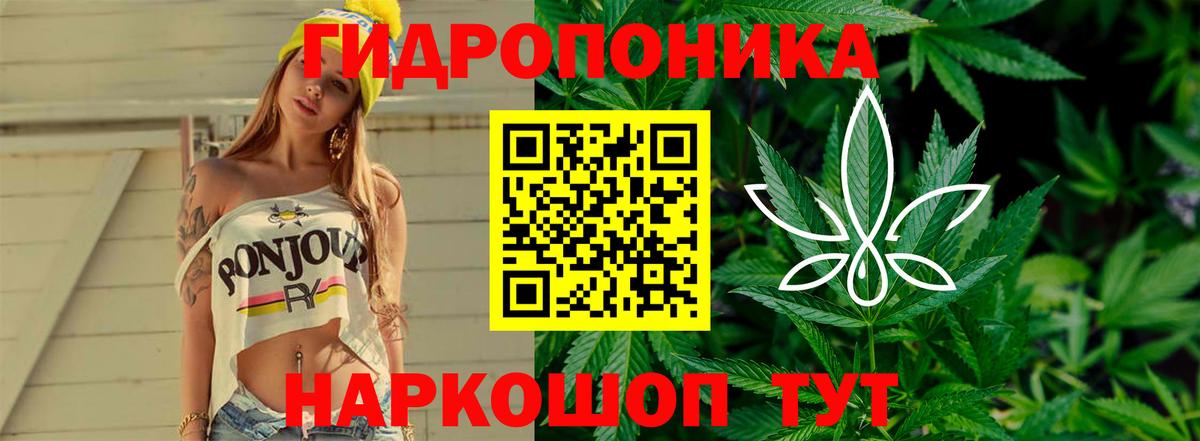 Шишки марихуана гибрид Курган